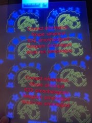 New  GA Georgia ID OVI hologram pouch with raise text UV NEW GA Template