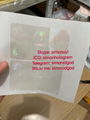  South Carolina SC ID DL hologram overlay sticker South Carolina ID template