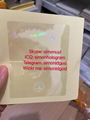 Tennessee TN ID DL hologram overlay sticker Tennessee ID template