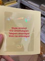 Tennessee TN ID DL hologram overlay sticker Tennessee ID template 4