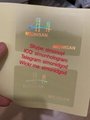 Michigan MI ID DL hologram overlay sticker Michigan ID template 1
