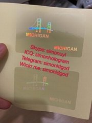 Michigan MI ID DL hologram overlay sticker Michigan ID template