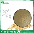 20% golden soybean powder