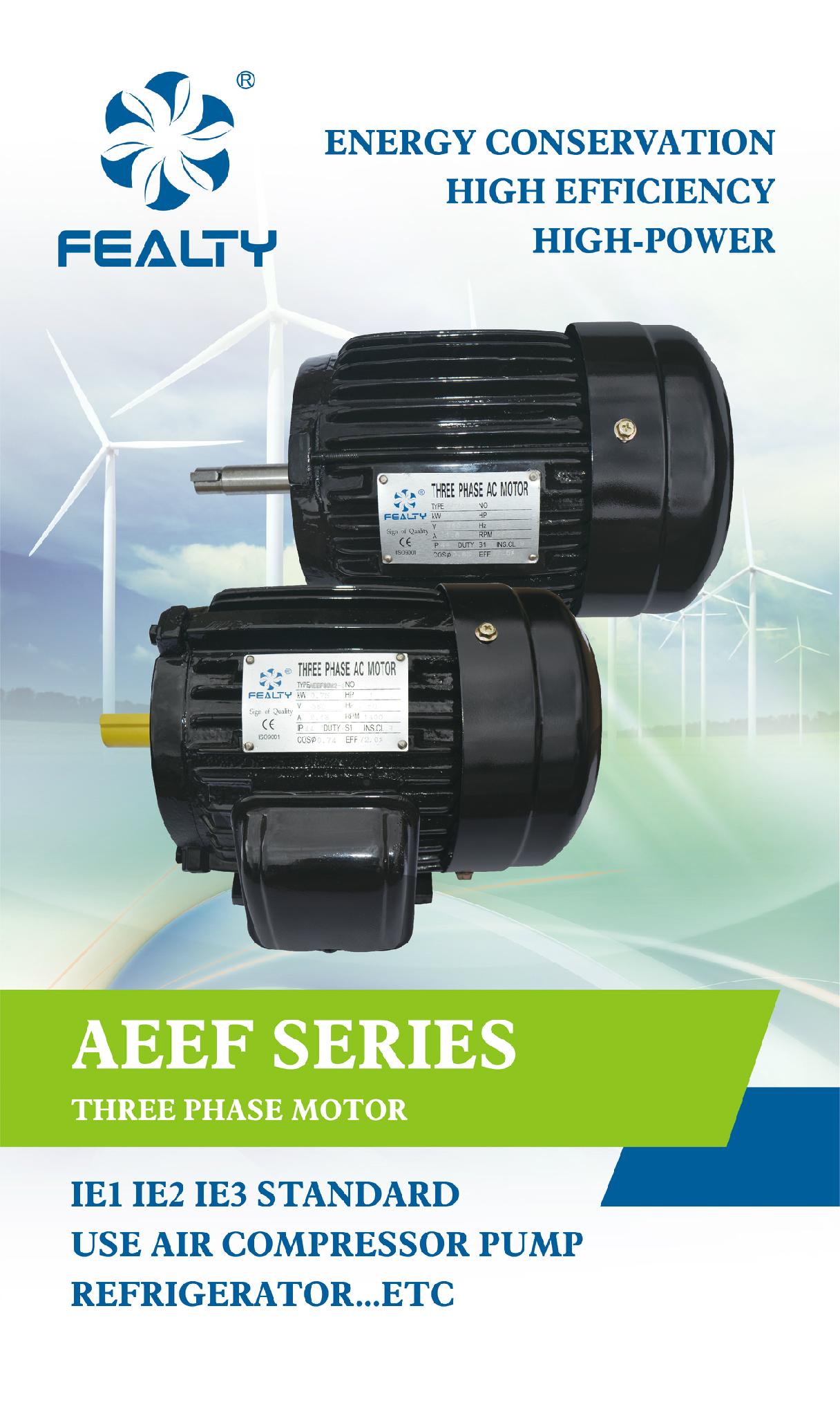 AEEF SERIES MOTOR