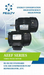 AEEF SERIES MOTOR