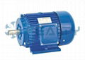 AEEF SERIES MOTOR 2