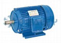  Y series motor 1