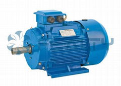 ANP series three phase induction motor