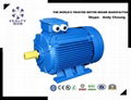 ANP series three phase induction motor 2