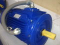 YK2 high-low pressure series motor 3