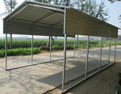 Regular Style Metal Carports