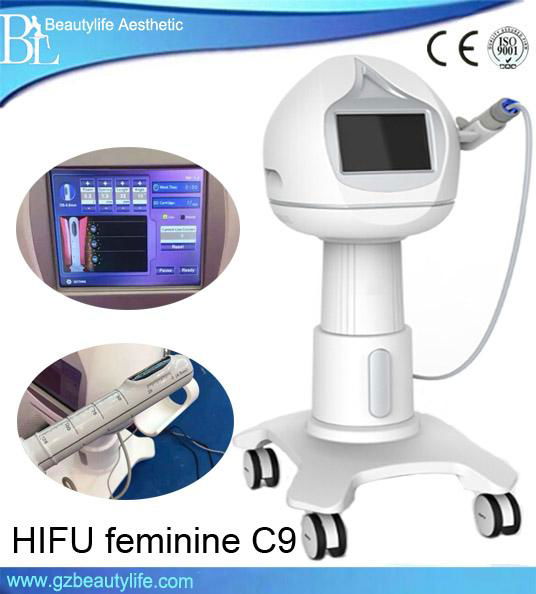 Demountable Hifu Compacting System for Female Private Parts