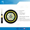 Standard All-dielectric Self-supporting Fiber Optic Cable—ADSS 1