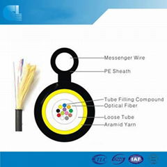 Mini Figure 8 Fiber Optic Cable(GYAXTC8Y)