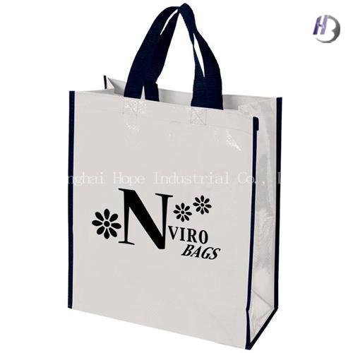 Women Non Woven Shopping Bag 3