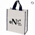 Women Non Woven Shopping Bag 3