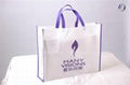 Women Non Woven Shopping Bag 2