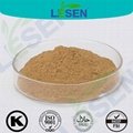 Hot Selling Incarvillea Sinensis Extract Powder 1