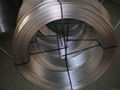 stainless steel coil tube