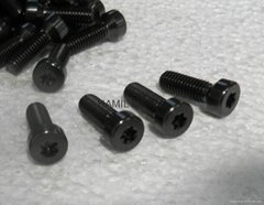 Titanium screws 