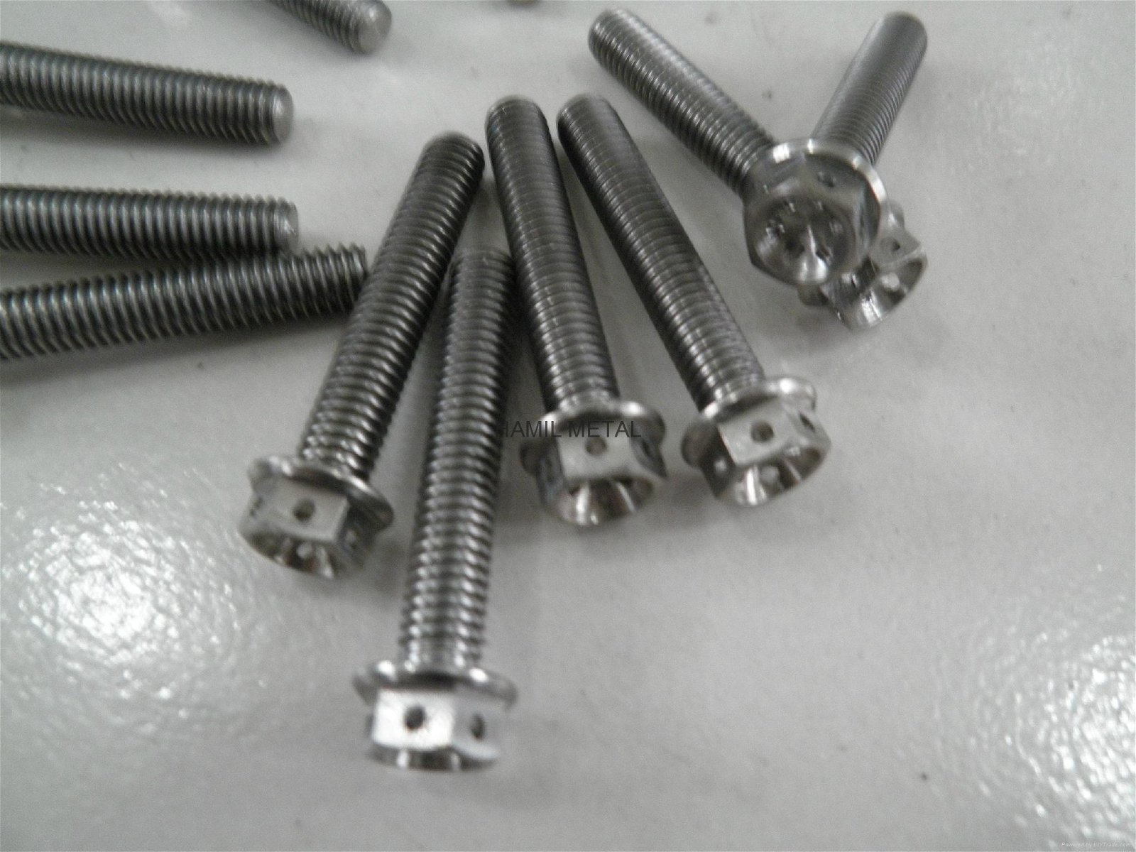Titanium screws  3