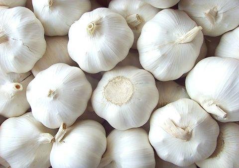 Fresh purel white  garlic 4