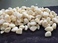 IQF garlic 1