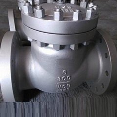 6 Inch 300 LB Carbon Steel Flanged Check Valves