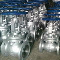 Stainless Steel Globe Valves 1