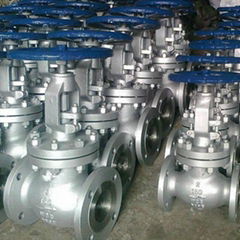 Stainless Steel Globe Valves