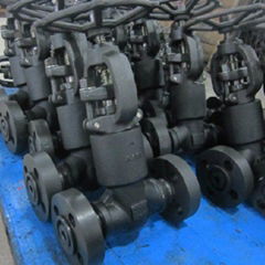 2500LB Pressure Seal Globe Valves