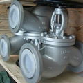 DIN 3352 Globe Valves