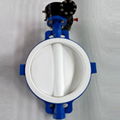 Wafer Butterfly Valves 1