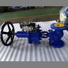 Carbon Steel Steam Valves