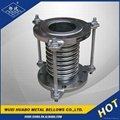 Exhaust Expansion Metal Bellow 5
