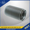 Manufacturer Stainless Steel Bellow Hose 4