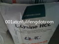 lysine hcl 98.5%