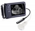 Veterinary Handheld Digital Ultrasound
