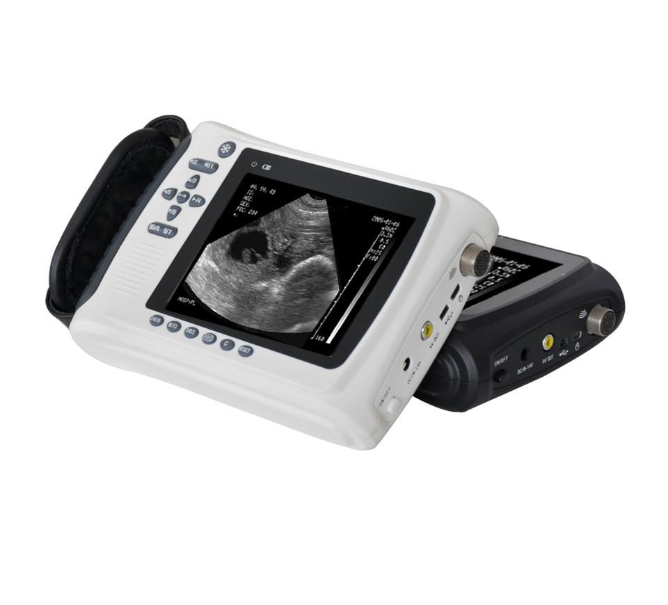 B Mode Veterinary Ultrasound Scanner and Price Ultrasound for Animals