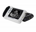 B Mode Veterinary Ultrasound Scanner and Price Ultrasound for Animals 1