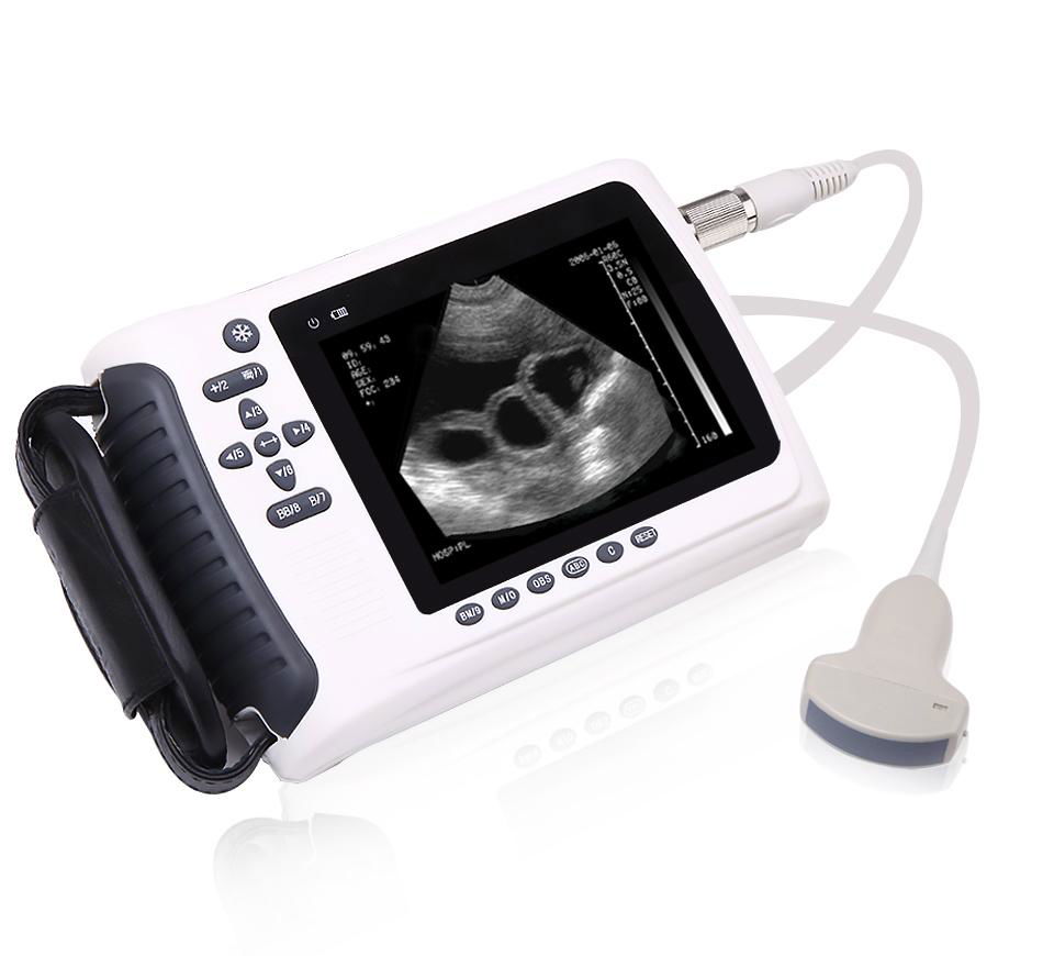 B Mode Veterinary Ultrasound Scanner and Price Ultrasound for Animals 2