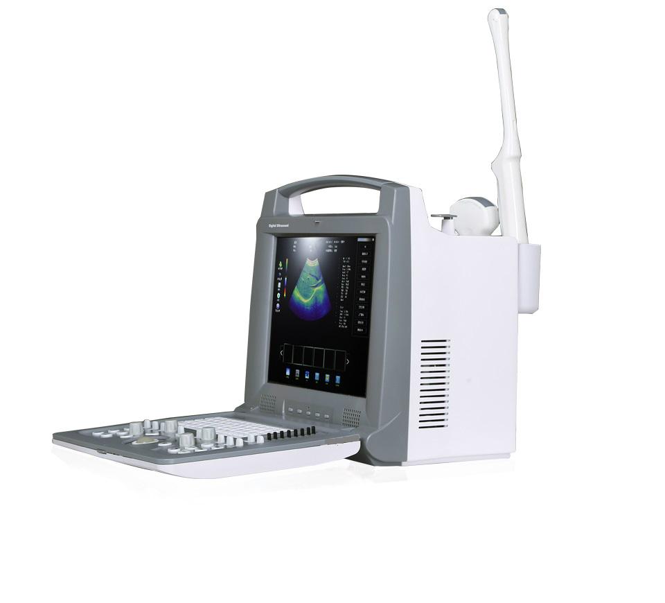 Portable 3D Color Doppler