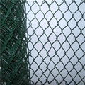 PVC coated Chain link fence 5