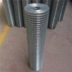 Galvanized welded wire mesh