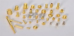 Brass Fasteners