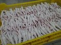 High Quality Clean Frozen Chicken Feet / Frozen Chicken Paws Brazil