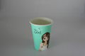 Pla Lined Paper Cups 2