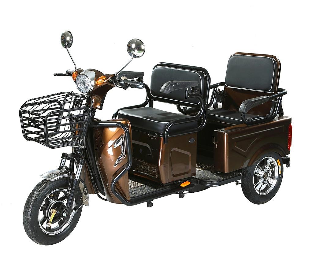 Трехколесный взрослый двухместный. Электротрицикл Cornette 500w 48v. Скутер рикша трехколесный. Carver Electric трицикл. Электроскутер трицикл 3 местный.