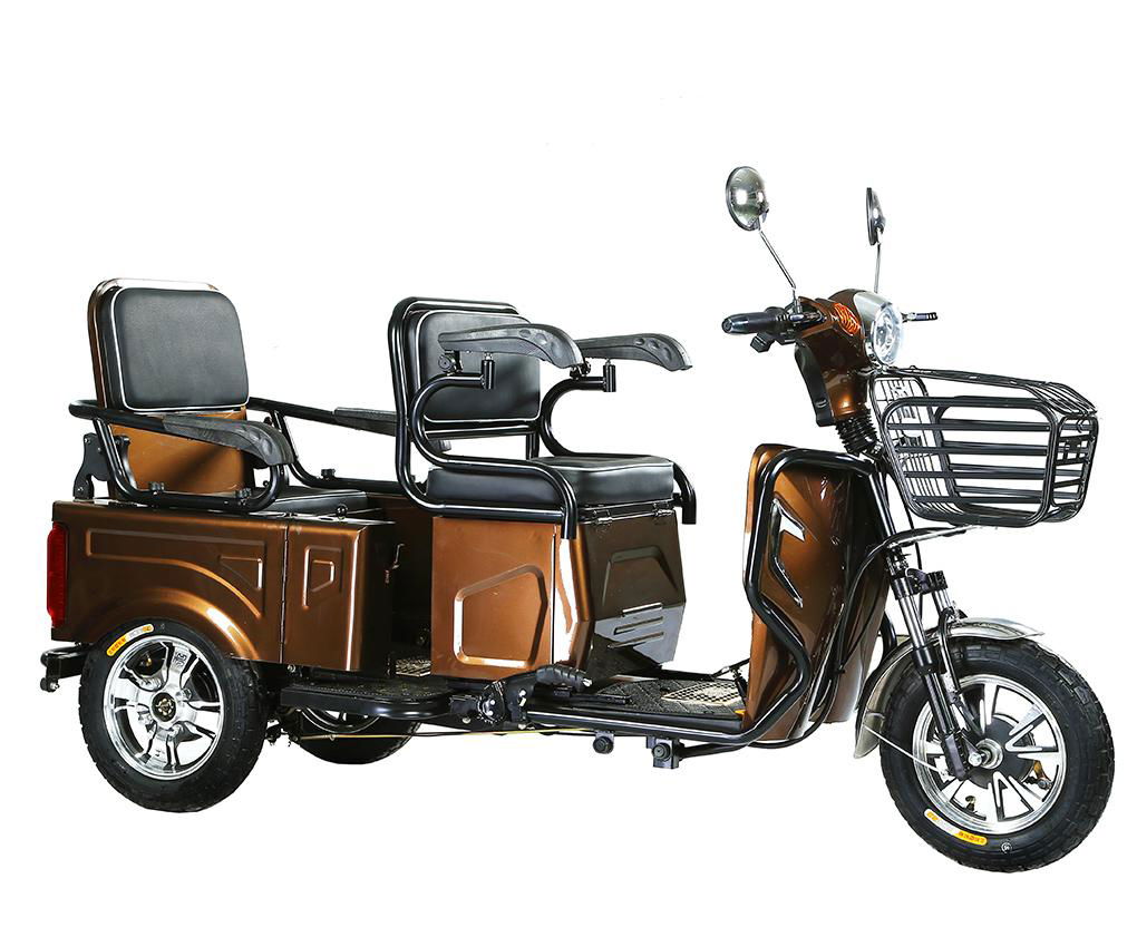 48V800W Electric Tricycle 2