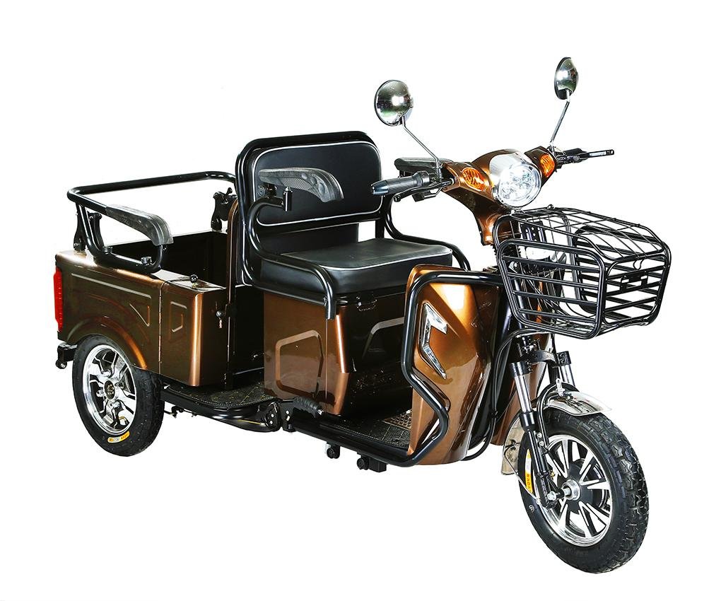 48V800W Electric Tricycle 3